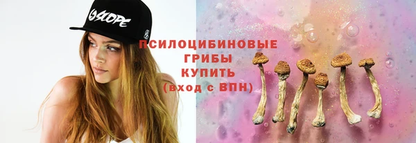 дмт Алексеевка