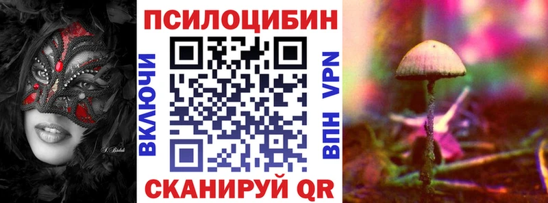 Галлюциногенные грибы Magic Shrooms  blacksprut ссылки  Камешково  где купить наркоту 